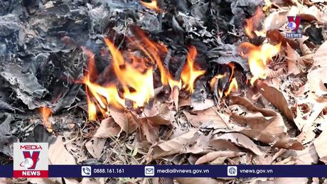 Tăng cường các biện pháp cấp bách phòng cháy, chữa cháy rừng