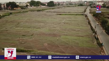 Đào tạo nhân lực để chuyên nghiệp hóa mô hình HTX 