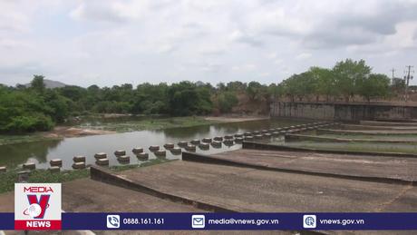 Bình Thuận đối mặt với hạn hán khốc liệt