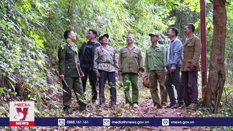 Hạn chế thấp nhất thiệt hại do cháy rừng tại Sơn La