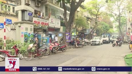 Tăng cường bảo vệ cây xanh đô thị