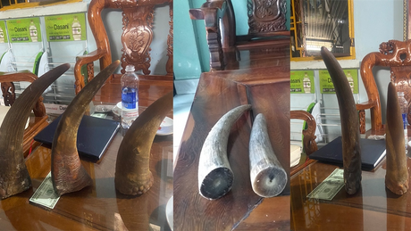 Bắt giữ nhóm đối tượng lừa bán đá thiên thạch, sừng tê giác