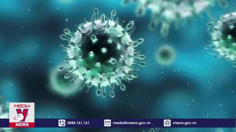 Chỉ đạo khẩn của Bộ Y tế về ca mắc cúm A(H9)