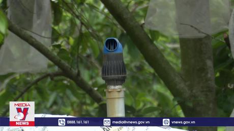 Chủ động nước tưới cho cây trồng đợt cao điểm khô hạn