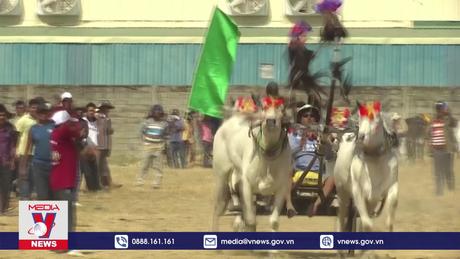 Lễ hội đua bò mừng Năm mới ở Campuchia