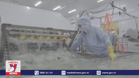 Khơi thông tín dụng cho doanh nghiệp sản xuất