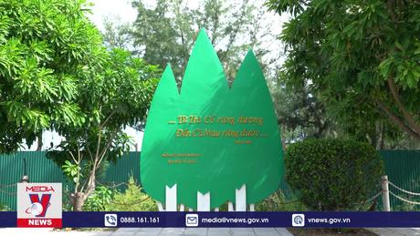 Phim tài liệu: Tiếng hát Bài Chòi vùng Trà Cổ