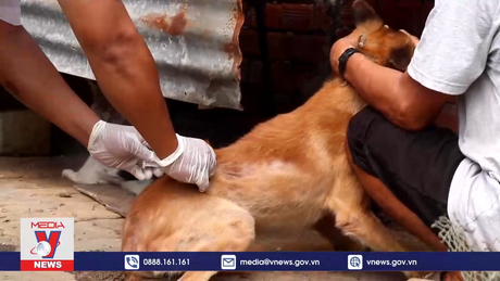 Cần Thơ phát động tiêm phòng bệnh Dại cho chó, mèo
