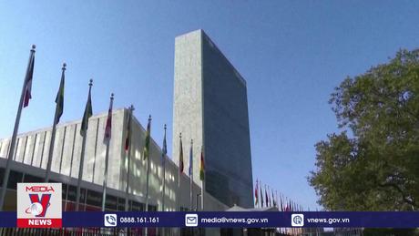 HĐBA xem xét kết nạp Palestine làm thành viên chính thức của LHQ