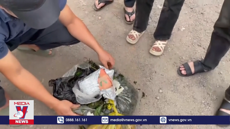 Nghệ An bắt ba đối tượng, thu giữ 6.000 viên ma túy tổng hợp