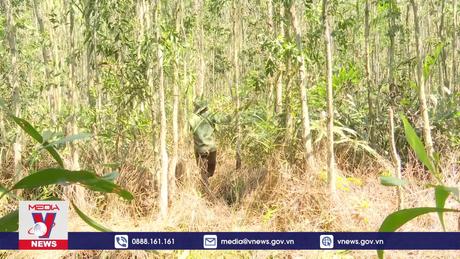 Sóc Trăng tăng cường công tác phòng cháy rừng mùa khô