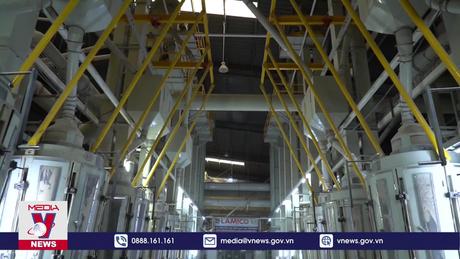 Xuất khẩu gạo thu về gần 1,4 tỷ USD