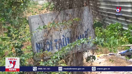 Xác minh phản ánh cơ sở nuôi trùn quế gây ô nhiễm môi trường 