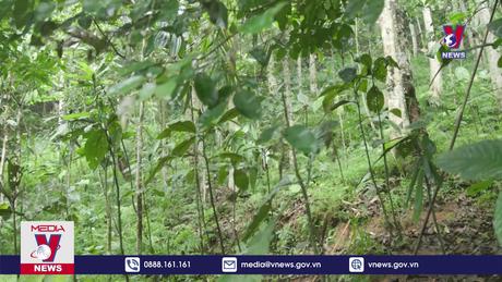 Bản tin thời sự 08h ngày 11/4/2024