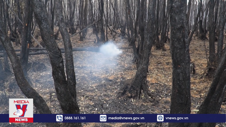 Cà Mau đã khống chế được cháy rừng tại Nông trường 402
