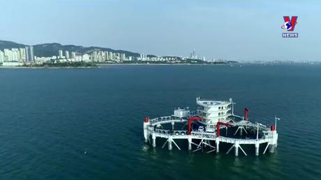 Tương Lai Xanh ngày 11/4/2024