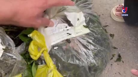 Đường dây nóng 389 ngày 11/4/2024