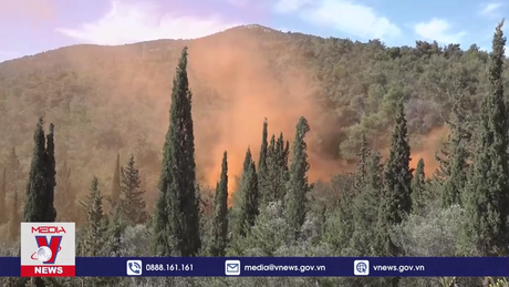 Châu Âu vừa trải qua mùa cháy rừng tồi tệ nhất thế kỷ