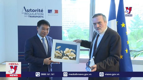 Việt Nam - Pháp tăng cường mối quan hệ hợp tác trong lĩnh vực giao thông vận tải 