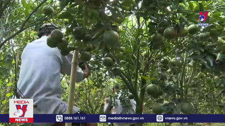 Bản tin thời sự 17h ngày 11/4/2024