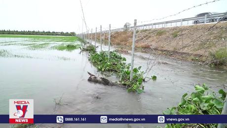 Vỡ bờ bao, hơn 160 công lúa và hoa màu bị ảnh hưởng