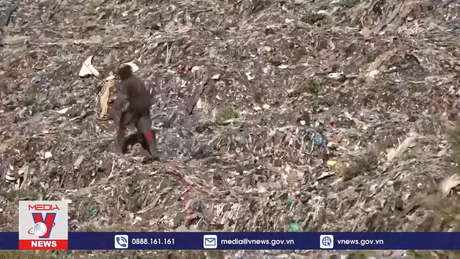 Khí nhà kính tích tụ năm 2023 cao kỷ lục