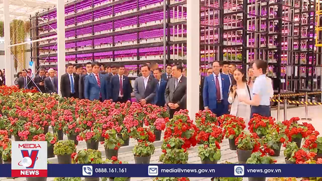 Chủ tịch Quốc hội thăm mô hình kinh tế tiêu biểu của tỉnh Vân Nam