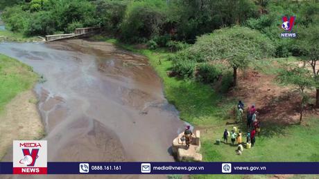 Chủ động thích ứng với hạn mặn