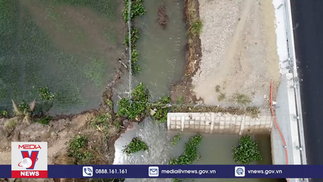 Khắc phục sự cố vỡ bờ bao, bảo vệ hơn 16 ha lúa và hoa màu