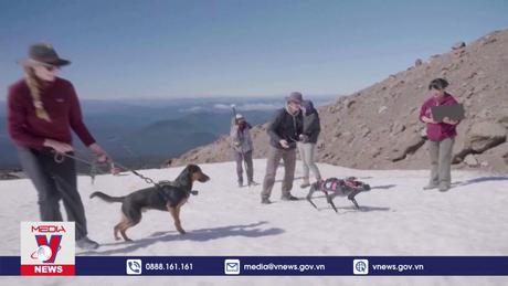 Huấn luyện robot đi trên Mặt Trăng