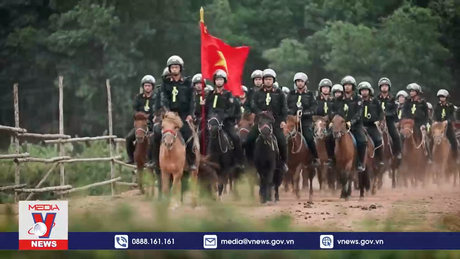 Làm chủ ngựa hoang sẵn sàng hoàn thành tốt mọi nhiệm vụ