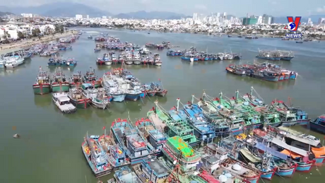 越通社新闻 - Bản tin tiếng Trung ngày 13/4/2024