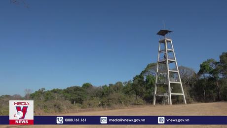 Cảnh báo nguy cơ cháy rừng cấp cực kỳ nguy hiểm trên địa bàn Bình Thuận