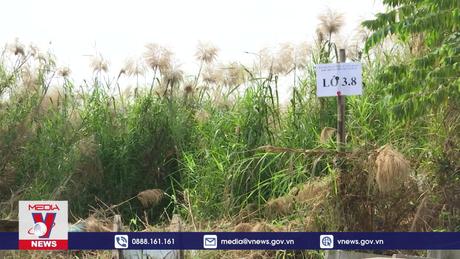 TP.HCM cần thận trọng khi tái đấu giá đất Thủ Thiêm