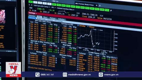 Chuẩn bị đấu thầu vàng miếng