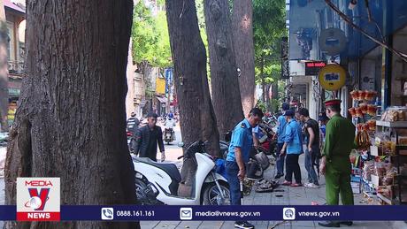 “Cởi trói” cho hàng cây sao đen