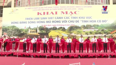 Văn hóa toàn cảnh ngày 16/4/2024