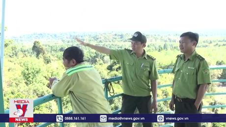 Đồng Nai bảo vệ quần thể hơn 7.000 cây ươi