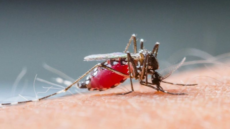 Đồng Nai ghi nhận ca tử vong đầu tiên do sốt xuất huyết