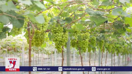 Phát triển kinh tế xanh là tất yếu với doanh nghiệp