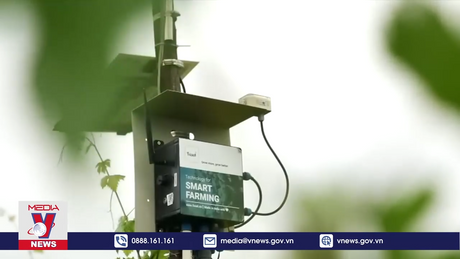 Những người tiên phong trẻ tuổi của công nghệ