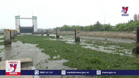 Long An công bố tình huống thiên tai xâm nhập mặn 