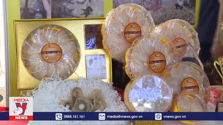 Ngày hội yến sào Bình Phước