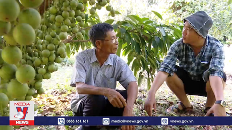 Tỷ phú nông dân nhờ dám nghĩ, dám làm