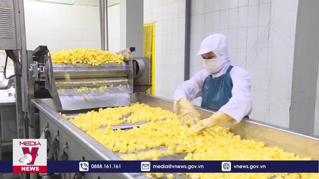 Xuất khẩu rau quả vượt 1 tỷ USD