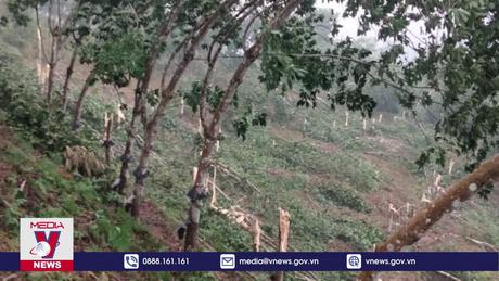 Mưa lớn kèm gió xoáy làm 2 người mất tích, tốc mái 120 nhà dân