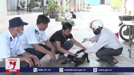 Trách nhiệm của người dân trong phòng, chống bệnh dại