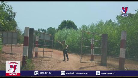 Voi rừng đạp đổ hàng rào điện vào rẫy người dân