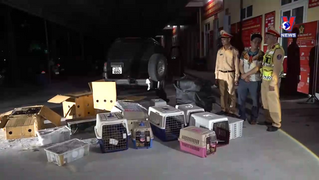 Đường dây nóng 389 ngày 19/4/2024