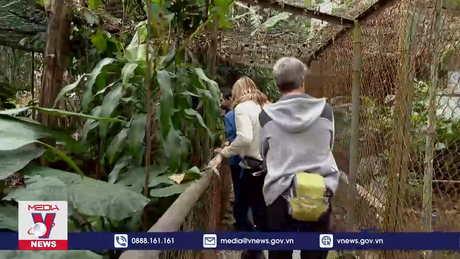 Khai thác các sản phẩm cứu hộ bảo tồn để phát triển du lịch sinh thái